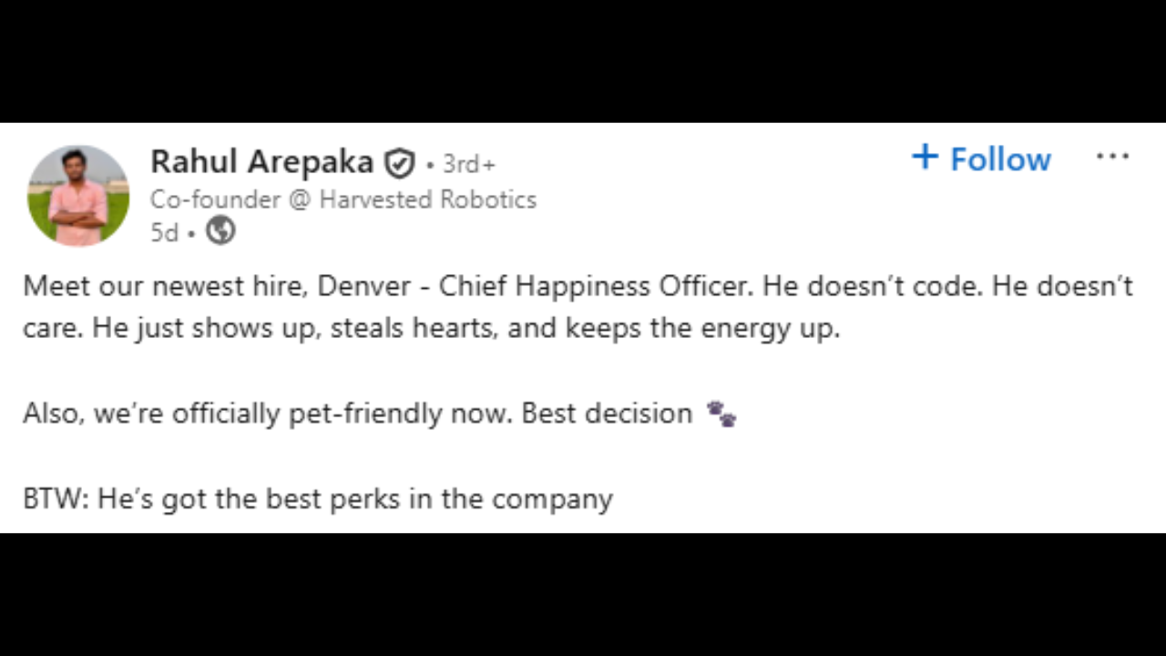 Hyderabad LinkedIn post goes viral Image Source Rahul Arepaka LinkedIn Hyderabad LinkedIn post goes viral Image Source Rahul Arepaka LinkedIn